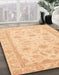 Abstract Orange Oriental Rug in Family Room, abs4046