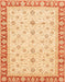 Abstract Orange Oriental Rug, abs4051