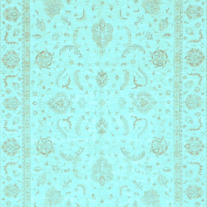 Oriental Light Blue Traditional Rug, abs4054lblu