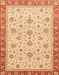 Abstract Bright Orange Oriental Rug, abs4057