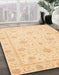 Abstract Brown Gold Oriental Rug in Family Room, abs4063