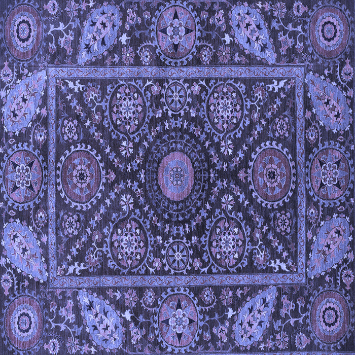 Square Machine Washable Oriental Blue Traditional Rug, wshabs4069blu