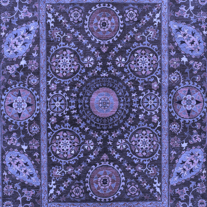 Oriental Blue Traditional Rug, abs4069blu