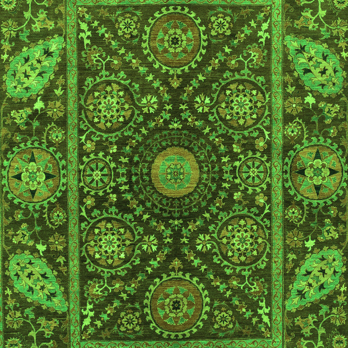 Oriental Green Traditional Rug, abs4069grn