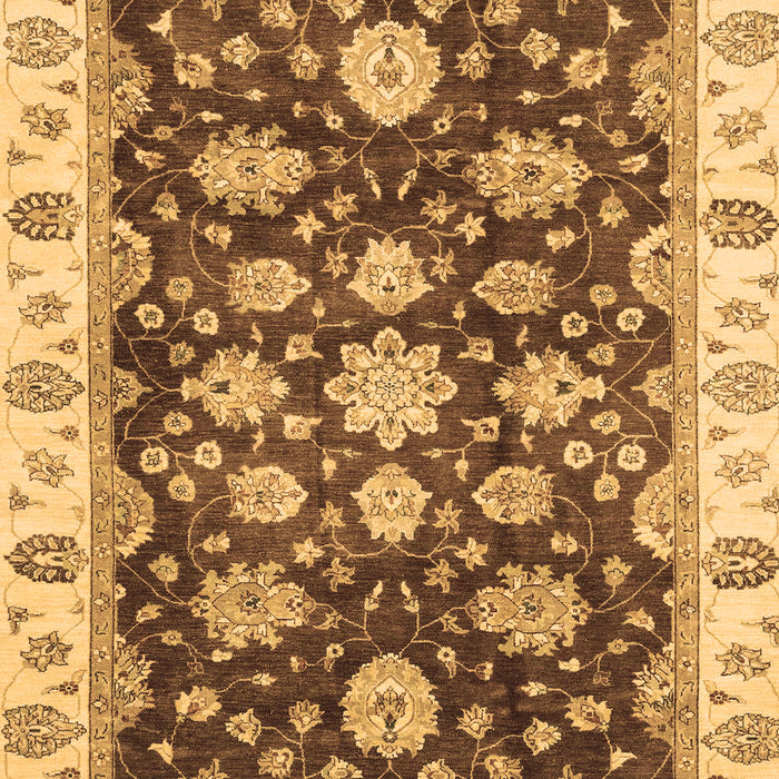 Machine Washable Oriental Brown Traditional Rug, wshabs4074brn