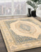 Machine Washable Abstract Khaki Gold Rug in a Family Room, wshabs4088