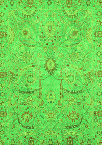 Oriental Green Traditional Rug, abs4101grn