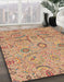 Machine Washable Abstract Chestnut Red Rug in a Family Room, wshabs4106