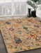 Abstract Brown Sand Brown Oriental Rug in Family Room, abs4107