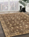 Machine Washable Abstract Saddle Brown Rug in a Family Room, wshabs4129