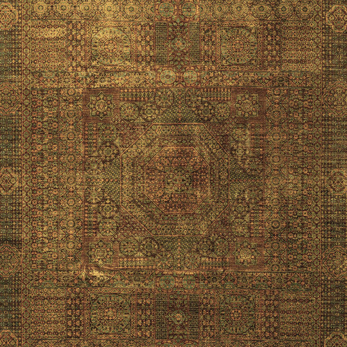Oriental Brown Modern Rug, abs4136brn