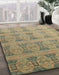 Machine Washable Abstract Brown Rug in a Family Room, wshabs4142