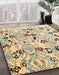 Abstract Dark Almond Brown Oriental Rug in Family Room, abs4143