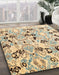 Machine Washable Abstract Dark Almond Brown Rug in a Family Room, wshabs4143