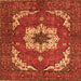 Square Machine Washable Persian Orange Traditional Area Rugs, wshabs4159org