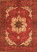 Machine Washable Persian Orange Traditional Area Rugs, wshabs4159org