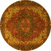 Round Persian Yellow Traditional Rug, abs4164yw