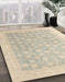 Machine Washable Abstract Sand Brown Rug in a Family Room, wshabs4172