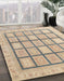 Machine Washable Abstract Brown Rug in a Family Room, wshabs4179