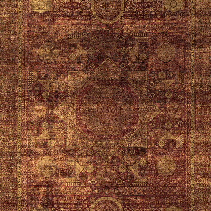 Oriental Brown Modern Rug, abs4189brn