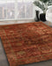 Machine Washable Abstract Red Rug in a Family Room, wshabs4189