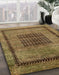 Machine Washable Abstract Caramel Brown Rug in a Family Room, wshabs418