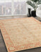 Abstract Brown Gold Oriental Rug in Family Room, abs4193