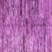 Square Machine Washable Oriental Purple Modern Area Rugs, wshabs4199pur