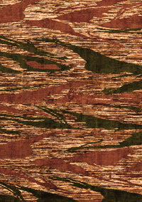 Oriental Orange Modern Rug, abs4205org