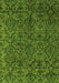 Oriental Green Modern Rug, abs4209grn