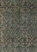 Oriental Light Blue Modern Rug, abs4209lblu