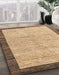 Machine Washable Abstract Light Brown Rug in a Family Room, wshabs4227