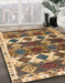 Abstract Sangria Brown Oriental Rug in Family Room, abs4261