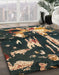 Machine Washable Abstract Dark Almond Brown Rug in a Family Room, wshabs4265