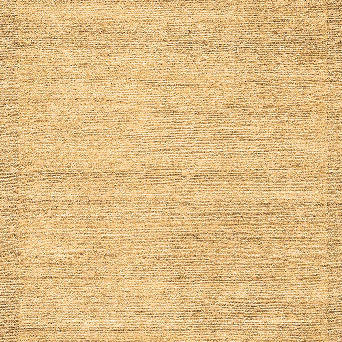 Solid Brown Modern Rug, abs4291brn