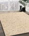 Abstract Brown Solid Rug in Family Room, abs4298