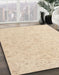 Machine Washable Abstract Brown Sugar Brown Rug in a Family Room, wshabs4298