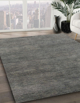 Machine Washable Abstract Gunmetal Gray Rug in a Family Room, wshabs4302