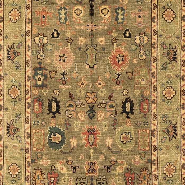 Oriental Brown Traditional Rug, abs4308brn