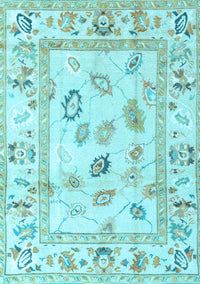 Oriental Light Blue Traditional Rug, abs4311lblu