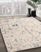 Machine Washable Abstract Peach Rug in a Family Room, wshabs4314
