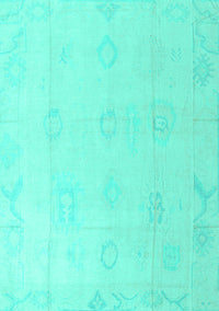 Oriental Turquoise Traditional Rug, abs4316turq