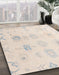 Abstract Peach Puff Gold Oriental Rug in Family Room, abs4317