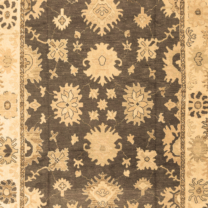 Machine Washable Oriental Brown Traditional Rug, wshabs4321brn