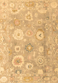 Oriental Brown Traditional Rug, abs4324brn