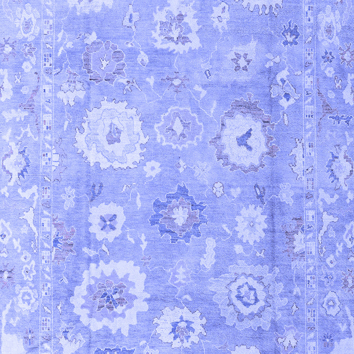 Oriental Blue Traditional Rug, abs4324blu