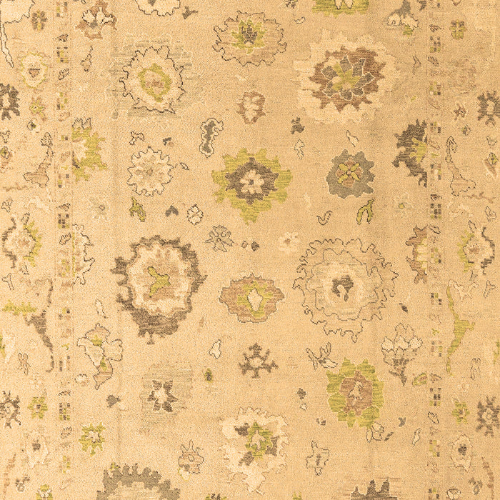 Machine Washable Oriental Brown Traditional Rug, wshabs4325brn