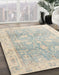 Abstract Sage Green Oriental Rug in Family Room, abs4326