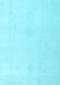 Oriental Light Blue Traditional Rug, abs4329lblu