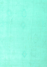 Oriental Turquoise Traditional Rug, abs4329turq